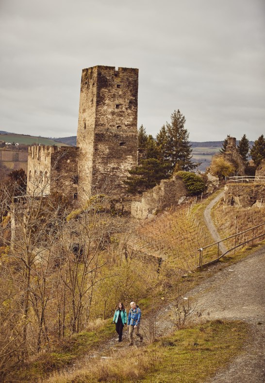 Wanderer auf dem Rheinsteig | &copy; Marco Rothbrust
