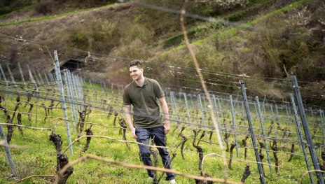 Weingut Loos | © Loos Weingut Loos | © Loos