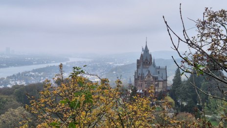 Rheinsteig 01. Etappe Bonn - Königswinter (Nord-Süd) | © Mirko Vivus, Community