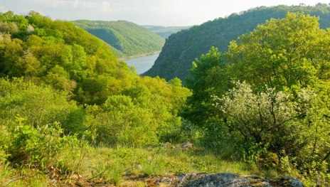 © Dominik Ketz, Rheinland-Pfalz Tourismus GmbH