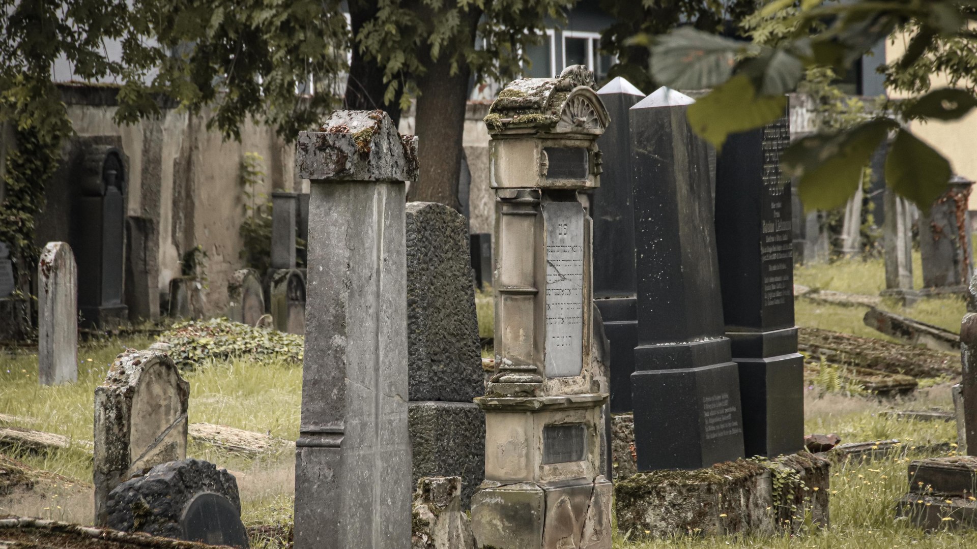 Jüdischer Friedhof | © Koblenz-Touristik GmbH / Johannes Bruchhof Jüdischer Friedhof | © Koblenz-Touristik GmbH / Johannes Bruchhof