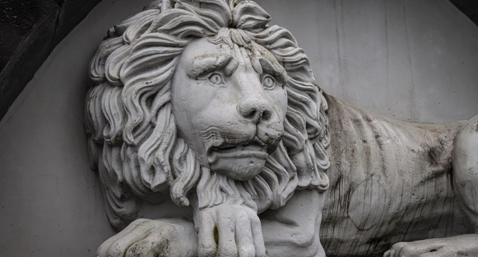 Löwe | © Koblenz-Touristik GmbH / Johannes Bruchhof Löwe | © Koblenz-Touristik GmbH / Johannes Bruchhof