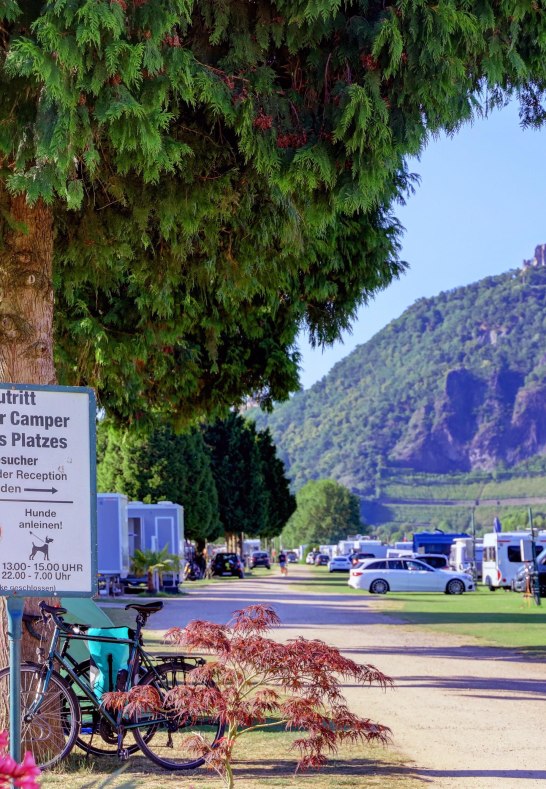 Campingplatz Siebengebirgsblick | &copy; Campingplatz Siebengebirgsblick
