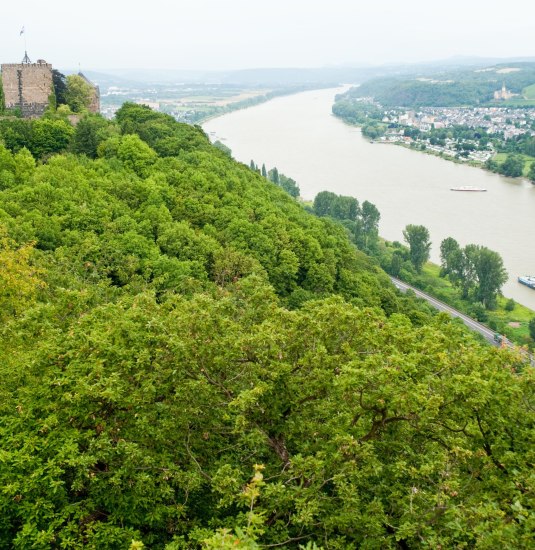 Blick auf Burg Rheineck | © Dominik Ketz/Romantischer Rhein Blick auf Burg Rheineck | © Dominik Ketz/Romantischer Rhein