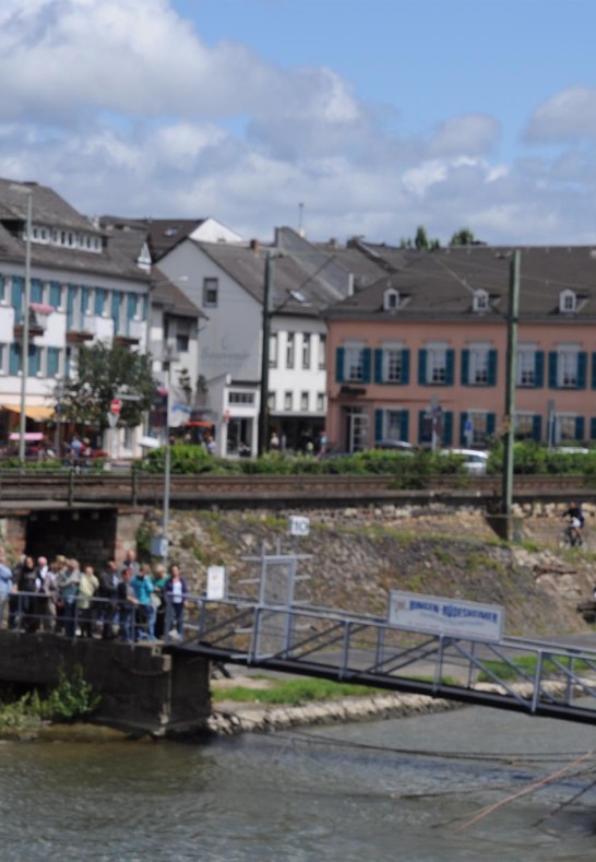 Schiffsanleger vor dem Hotel | &copy; Hotel Krone R&uuml;desheim