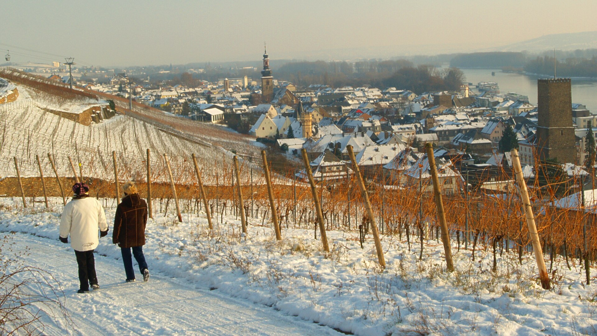 Unterwegs in den Rüdesheimer Weinbergen | © Rüdesheim Tourist AG