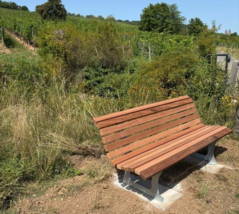 Bank im R&uuml;desheimer Bischofsberg | &copy; Maren Gutberlet
