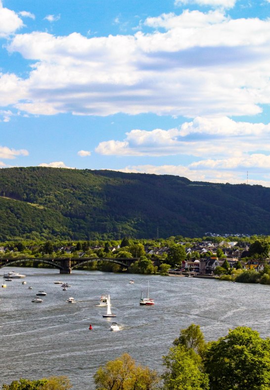 Ausblick vom Marienberg | © Weingut Schwaab Ausblick vom Marienberg | © Weingut Schwaab