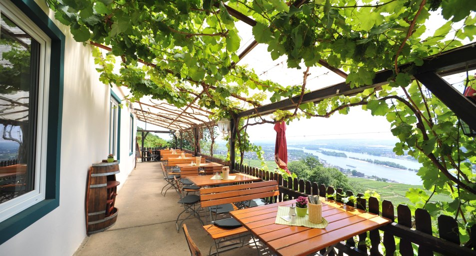 Terrasse | © Das Rebenhaus Gastronomie und Event GmbH Terrasse | © Das Rebenhaus Gastronomie und Event GmbH