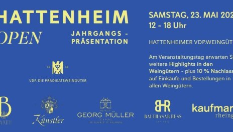 HattenheimOpen | &copy; Balthasar Ress