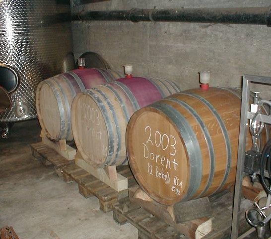 Weinkeller | &copy; Krick