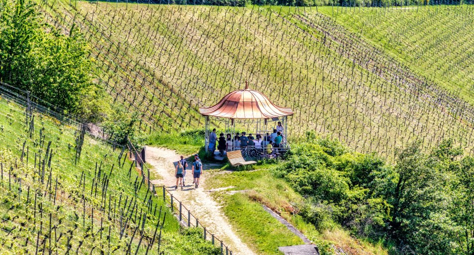 Rotweinlaube in Assmannshausen | © Marlis Steinmetz Rotweinlaube in Assmannshausen | © Marlis Steinmetz