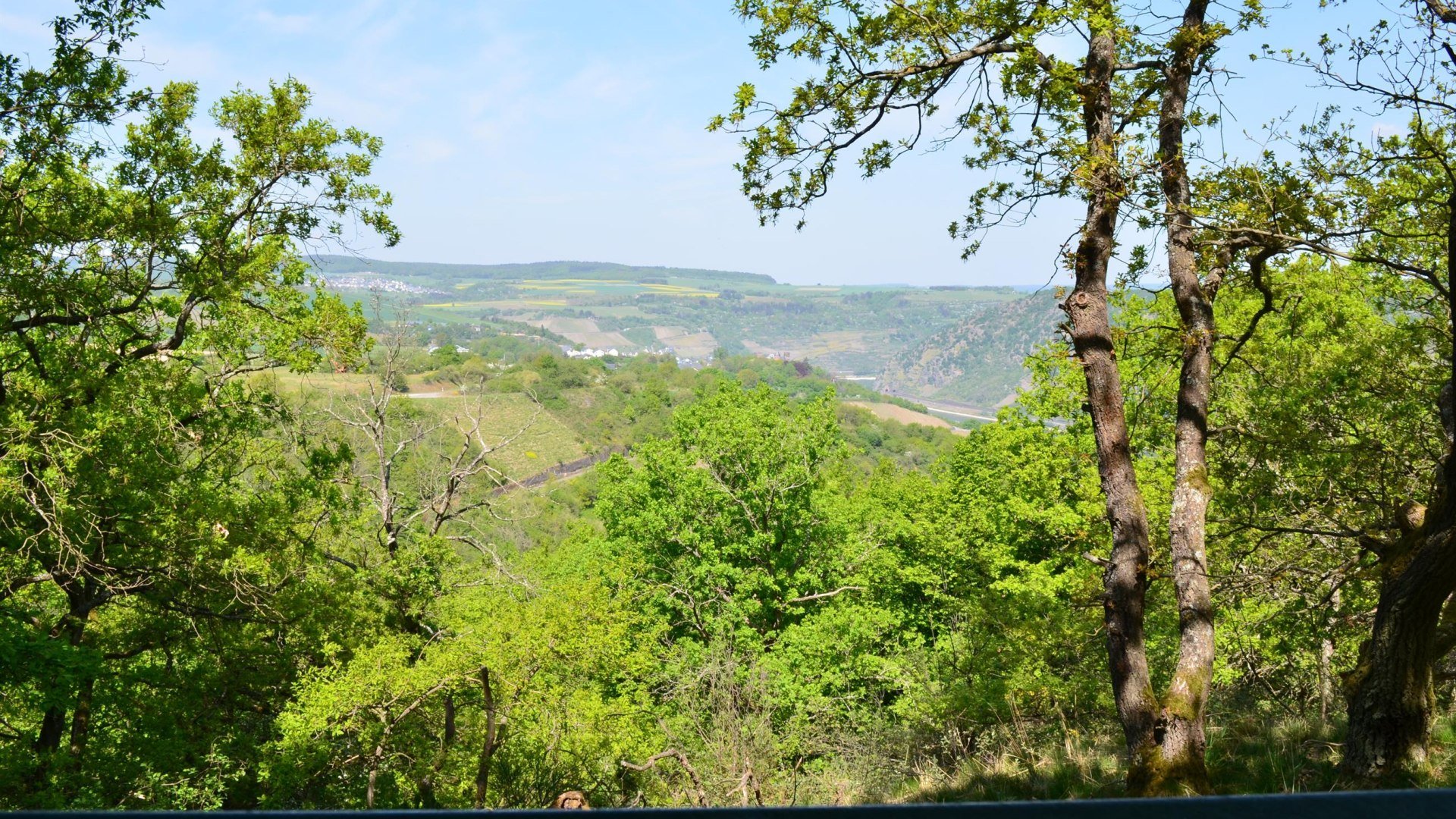 Hinnerbeil | © Tourist-Information Oberwesel Hinnerbeil | © Tourist-Information Oberwesel