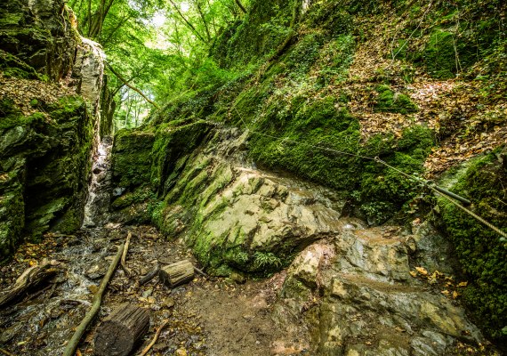 Ruppertsklamm | &copy; Henry Tornow
