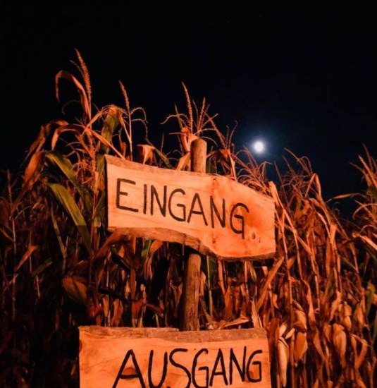Night Walk | © M. Heckel