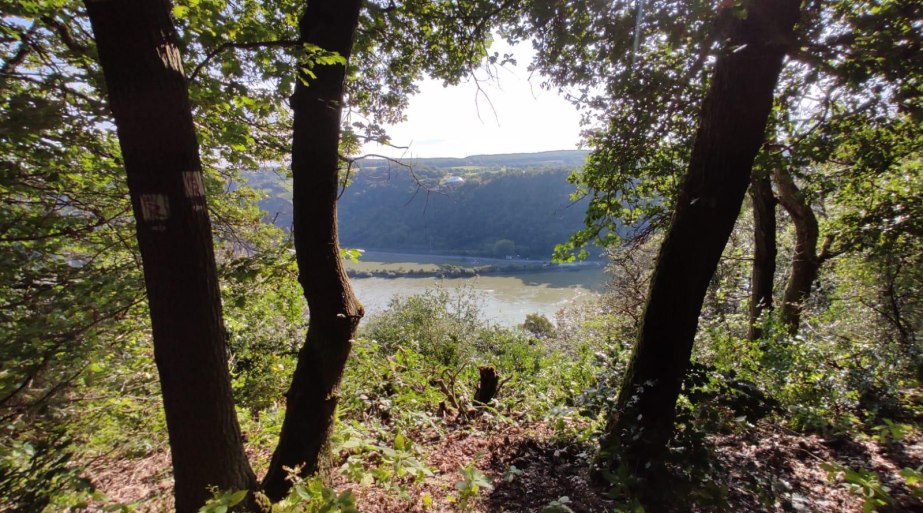 Aussichtsplatz "Galgenh&ouml;he" | &copy; TI Hunsr&uuml;ck-Mittelrhein