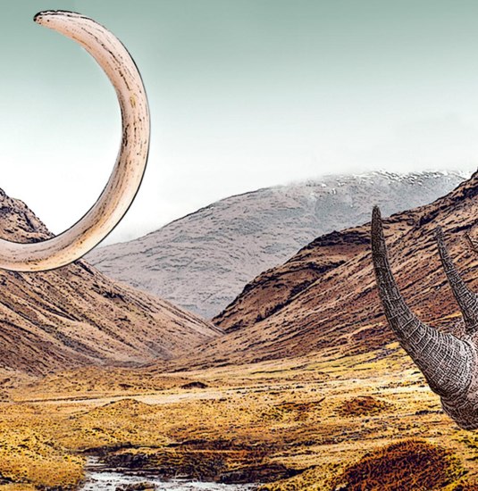 Mammut und Wollnashorn in Mammutsteppe_Comicstyle | &copy; LEIZA/N. Vieh&ouml;ver