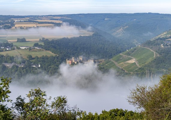 Ausblick nach Oberwesel | &copy; Katja S. Verhoeven