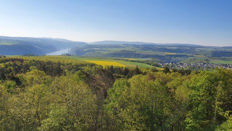 Turm Spitzer Stein Aussicht Oberwesel | &copy; TI Hunsr&uuml;ck-Mittelrhein