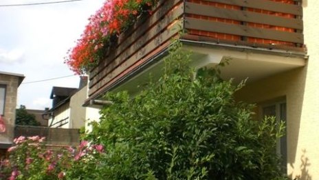 Außenansicht1 | © Fam. Maron Außenansicht1 | © Fam. Maron