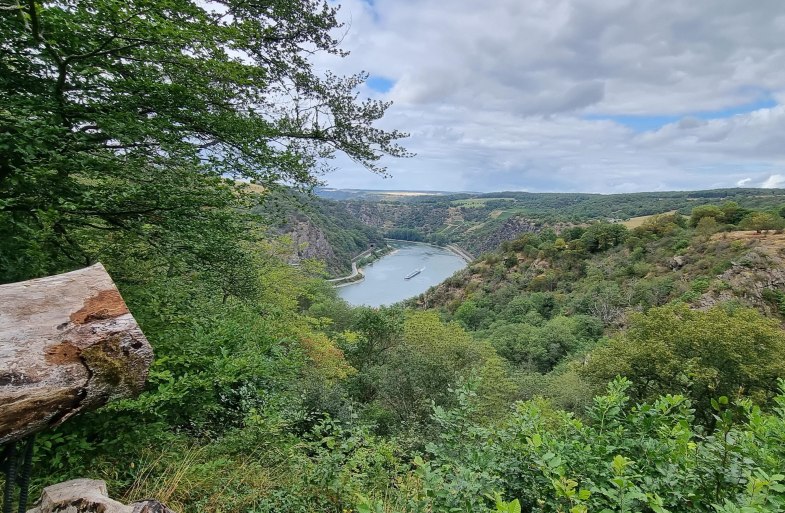 Lennig Fernrohr mit Aussicht | © Loreley Touristik GmbH Lennig Fernrohr mit Aussicht | © Loreley Touristik GmbH