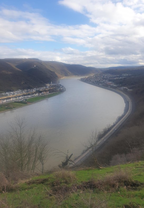Aussicht Rhein