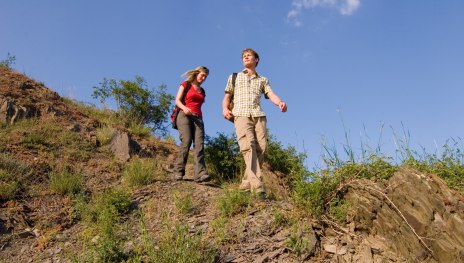 In den Weinbergen | &copy; Klaus-Peter Kappest, Traumpfade im Rhein-Mosel-Eifel-Land