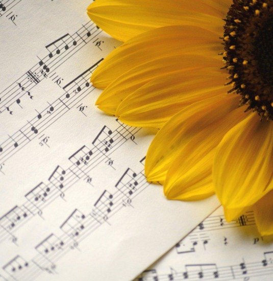 Konzert | &copy; Pixabay