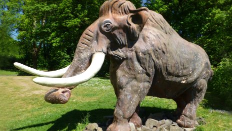 Mammut | &copy; LEIZA/A.-L.Rosenthal
