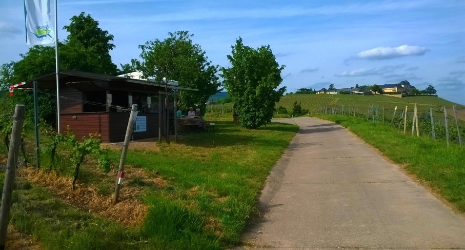 Genuss in den Weinbergen | &copy; Weingut Abteihof St. Nicolaus
