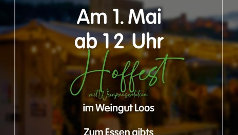 Hoffest Loos | &copy; Weingut Loos