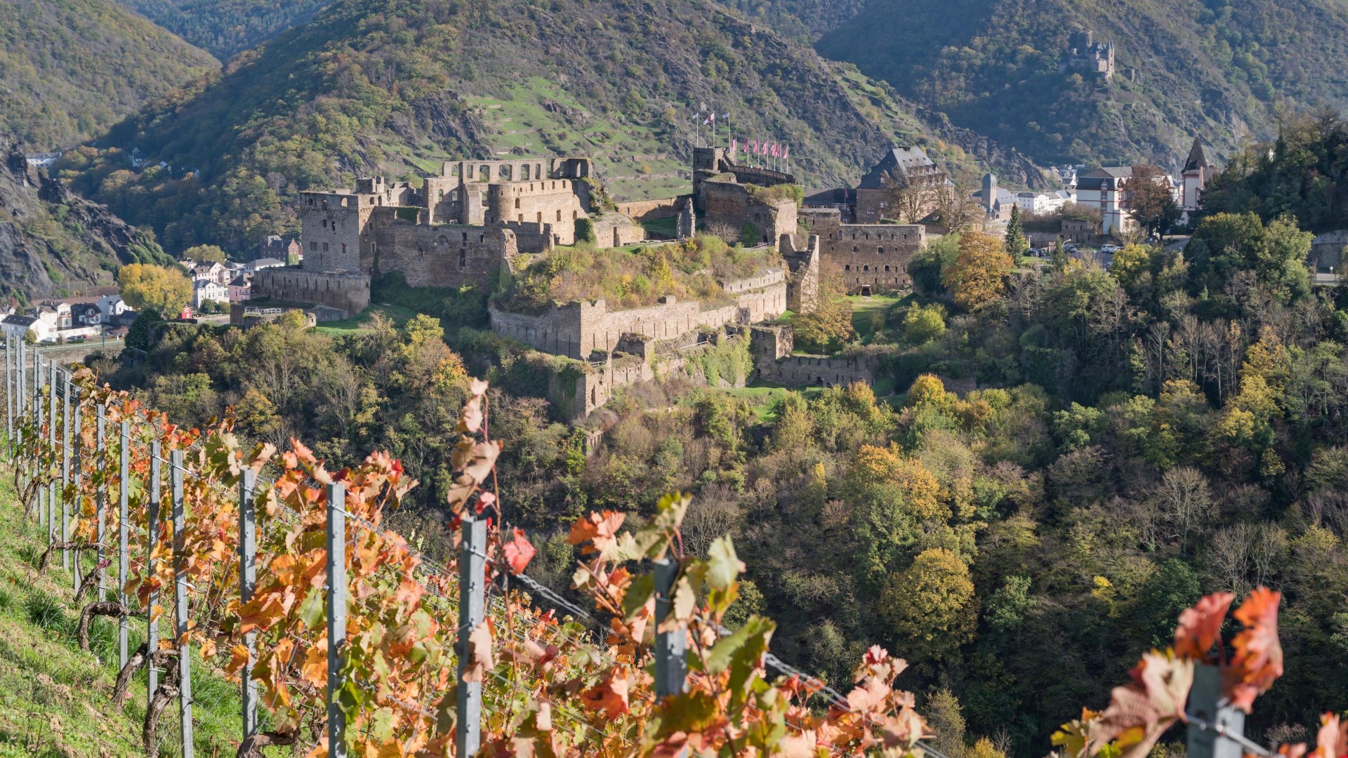 Burg Rheinfels