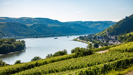 In Vino Veritas | © Henry Tornow In Vino Veritas | © Henry Tornow