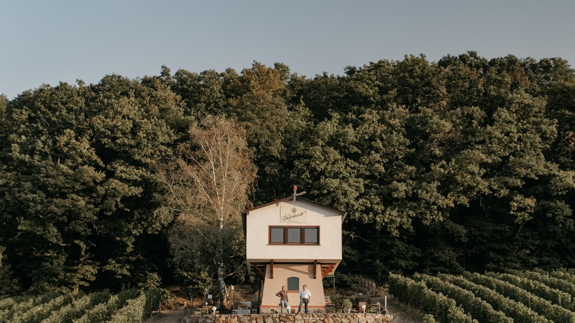 InesBarwig_WeingutDiefenhardt_VisualKey-10 | © Weingut Diefenhardt InesBarwig_WeingutDiefenhardt_VisualKey-10 | © Weingut Diefenhardt