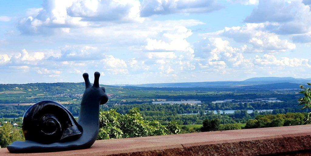 Ausblick Rheinblick | &copy; Weingut Hof Rheinblick