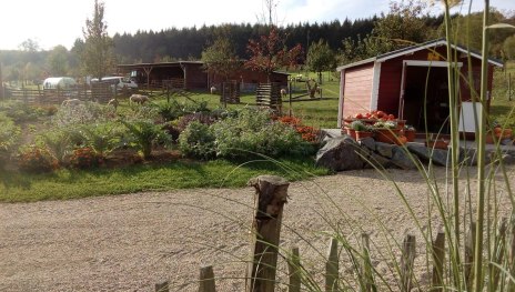 Verkaufshäuschen Permakultur | © Andernach.net Verkaufshäuschen Permakultur | © Andernach.net