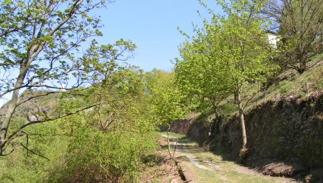 Wanderweg Panoramaweg