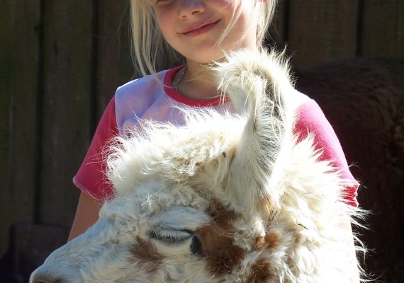 Lama- und Alpakafarm Kisselm&uuml;hle | &copy; Lama- und Alpakafarm Kisselm&uuml;hle