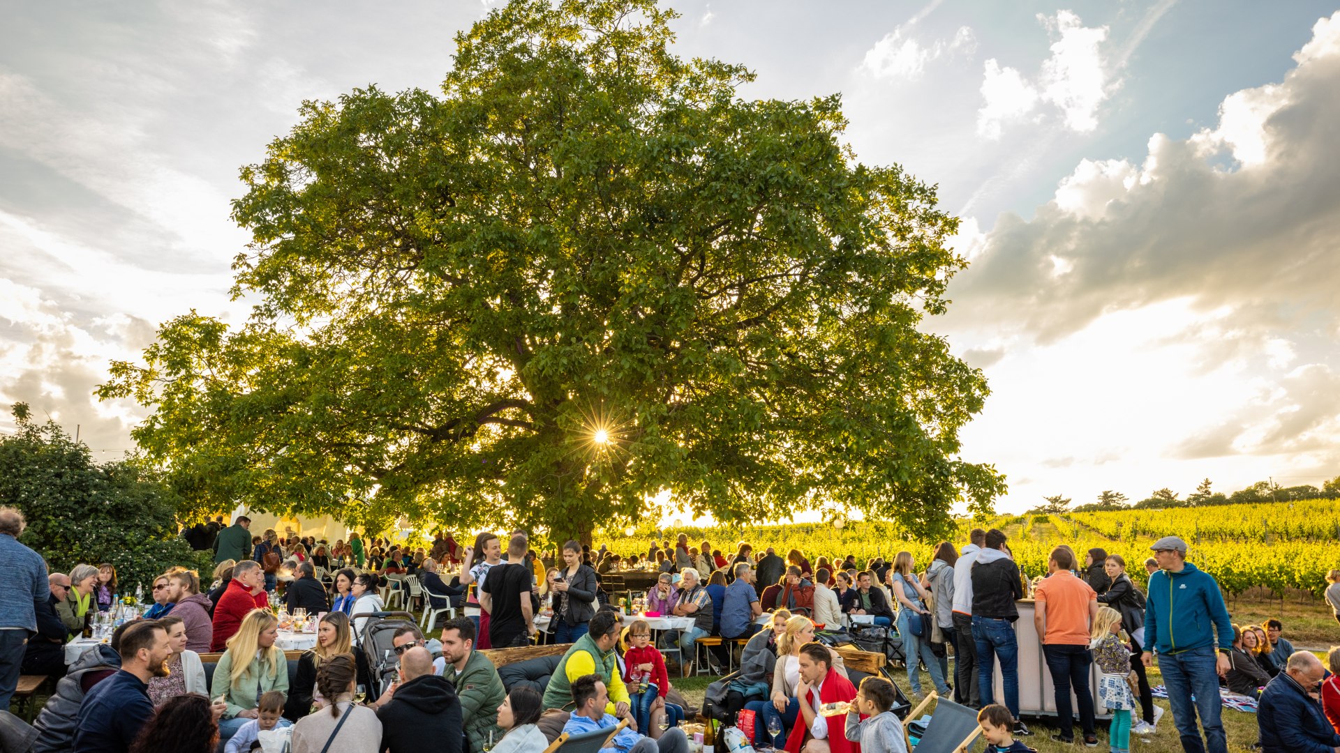 Nacht der Verführung | © Dominik Ketz Nacht der Verführung | © Dominik Ketz
