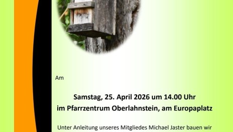 Wir bauen Nistk&auml;sten | &copy; Ulrike Schneider