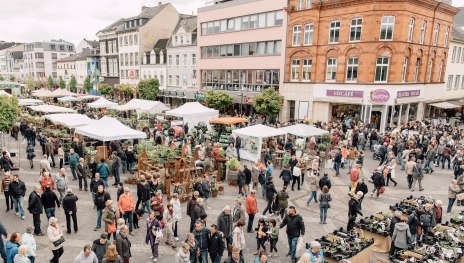 Gartenmarkt Luisenplatz | &copy; Zimpfer
