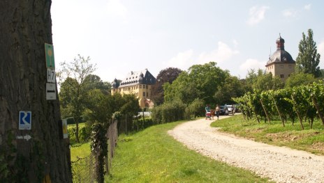 Schloss Vollrads | &copy; Blum, Romantischer Rhein Tourismus GmbH