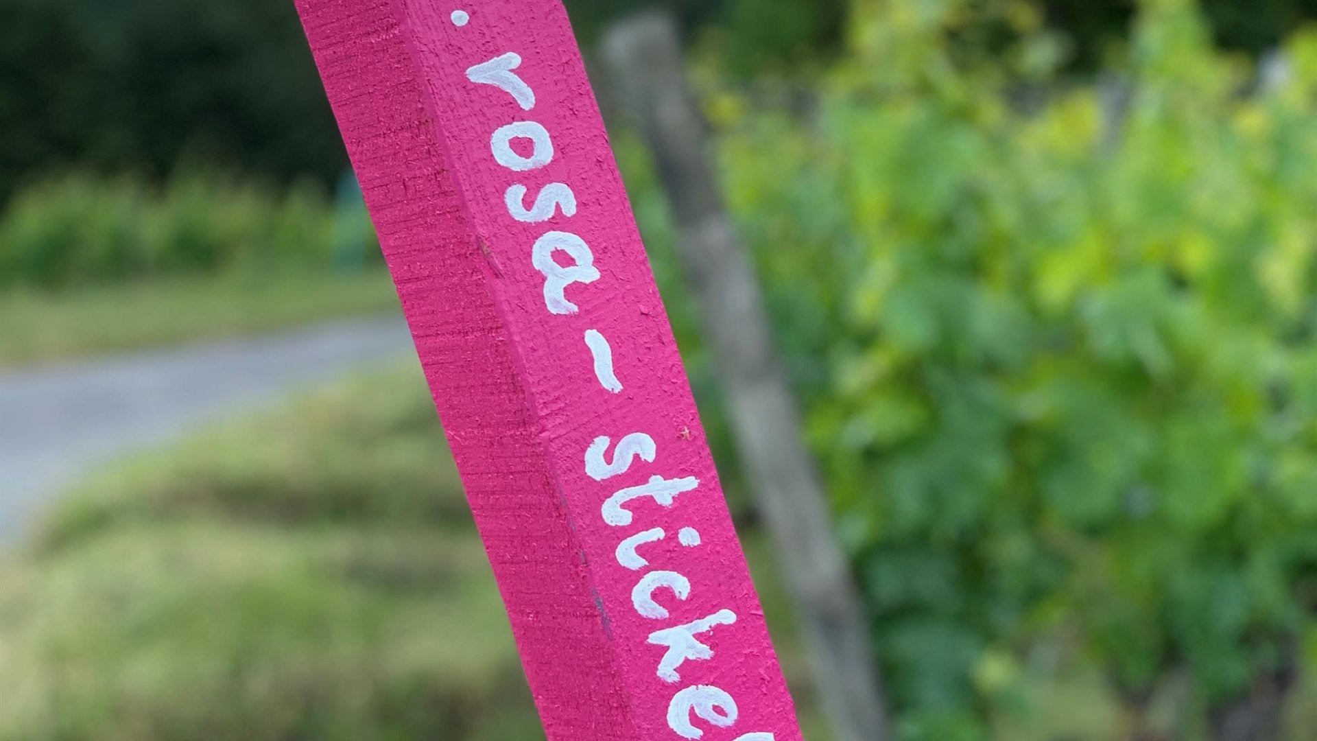 Weingut Rosa Stickel | &copy; Matthias Breuer