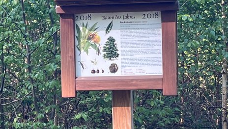 Tafel an Waldlehrpfad | © Holger Klemm, Romantischer Rhein Tourismus GmbH Tafel an Waldlehrpfad | © Holger Klemm, Romantischer Rhein Tourismus GmbH