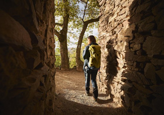 Rossel | © Marco Rothbrust/Romantischer Rhein Tourismus GmbH Rossel | © Marco Rothbrust/Romantischer Rhein Tourismus GmbH