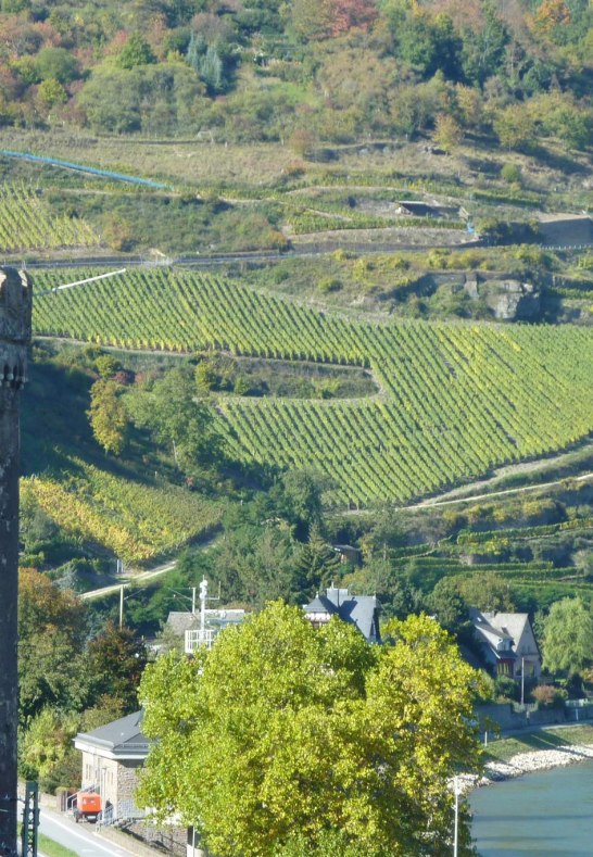 Weingut Lanius-Knab_Oberweseler Oelsberg VDP.Gro&szlig;e | &copy; Lanius-Knab