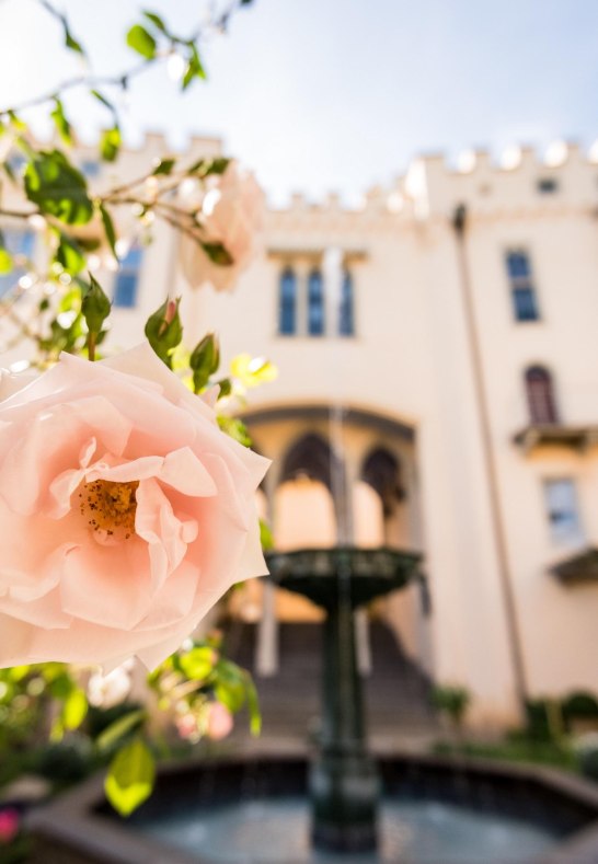 Stolzenfels Pergolagarten | © Rheinland-Pfalz Tourismus GmbH / Dominik Ketz Stolzenfels Pergolagarten | © Rheinland-Pfalz Tourismus GmbH / Dominik Ketz
