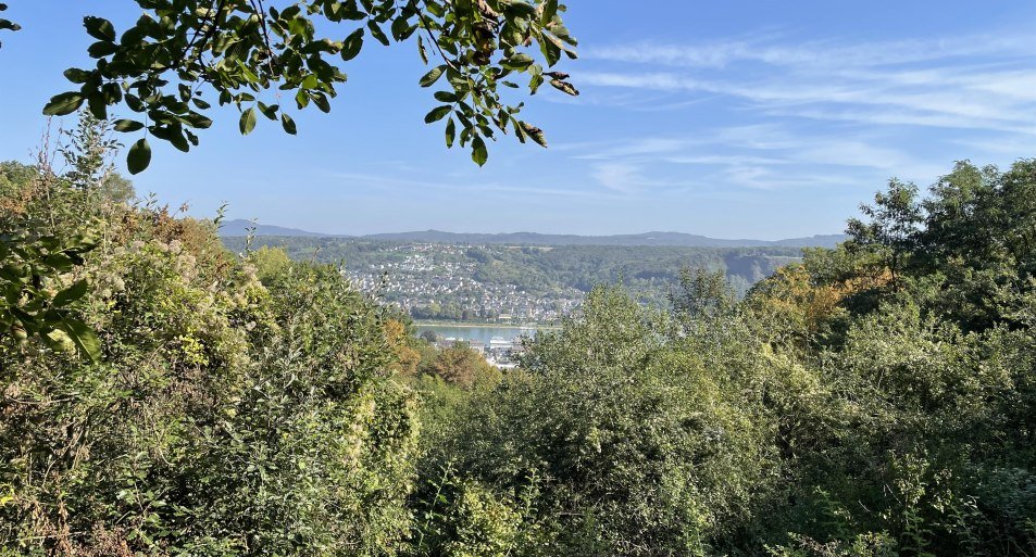 Aussicht von der Grillh&uuml;tte | &copy; Verena Weyl