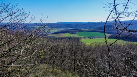 Blick vom Vulkan Scheidskopf auf die Eifelvulkane in der Ferne | &copy; Tourist-Information Remagen, Mittelrhein