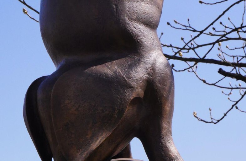 Freiheits-Wutz | © B. Vogt Freiheits-Wutz | © B. Vogt